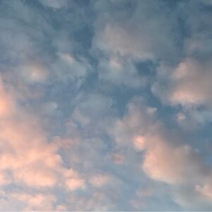 Meet your Posher, Eve